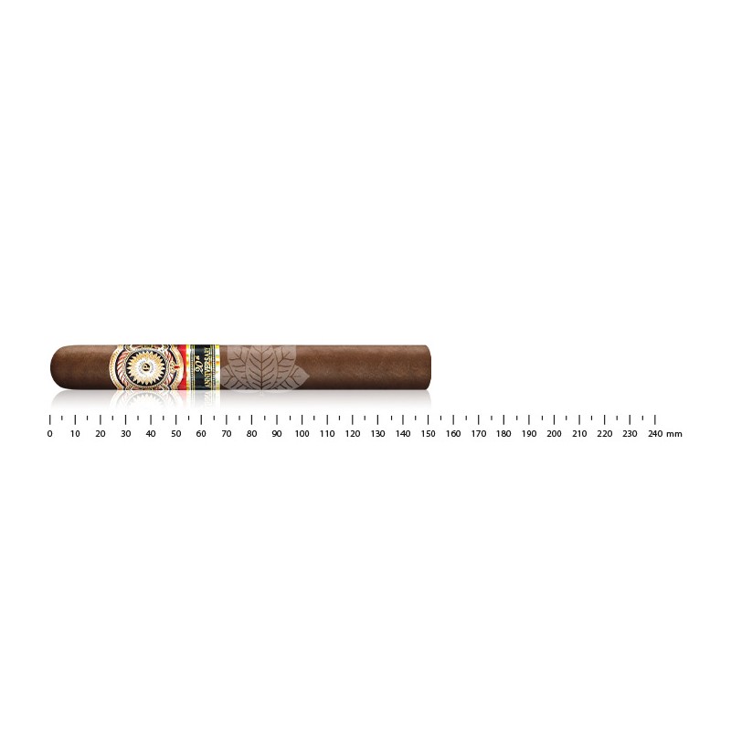 Perdomo 20周年阳光美食