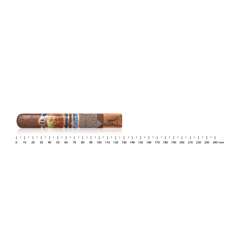 AJ 费尔南德斯 New World Decenio Robusto