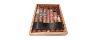 Bribon 样品