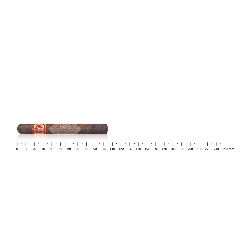 阿图罗·富恩特·库巴尼托斯·马杜罗