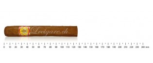 El Rey del Mundo 至尊选择