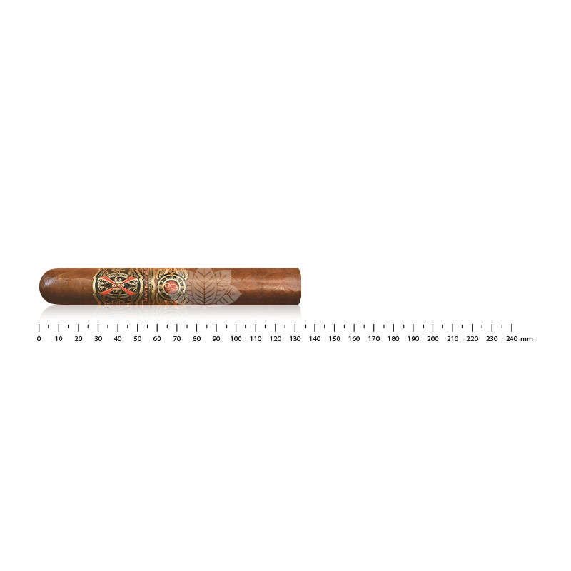 Arturo Fuente FFOX 禁忌