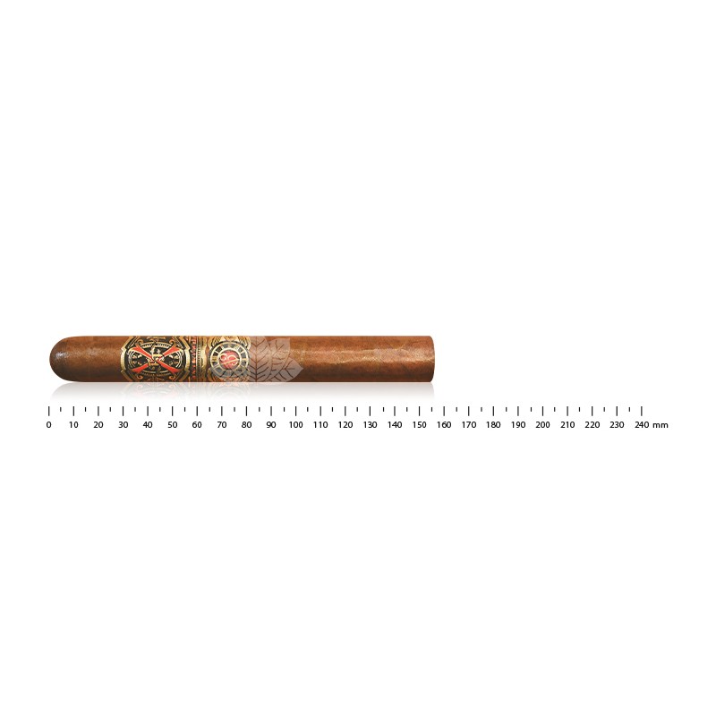 Arturo Fuente FFOX 禁忌