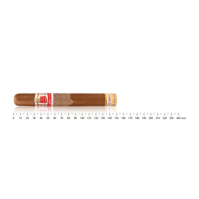 蒙特雷霍约 (Hoyo de Monterrey) – 圣路易斯霍约 (Hoyo de San Luis)
