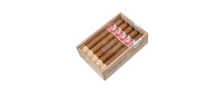 蒙特雷霍约 (Hoyo de Monterrey) – 圣路易斯霍约 (Hoyo de San Luis)