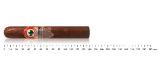 Joya de 尼加拉瓜精选罗布斯托