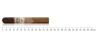 Joya de 尼加拉瓜精选罗布斯托