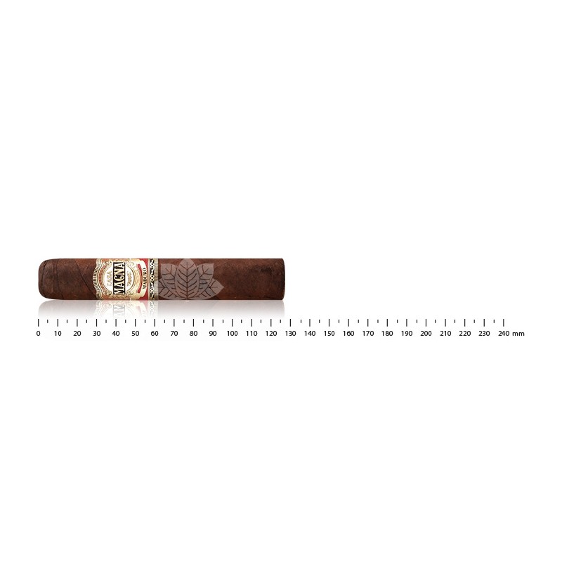 Casa Magna Maduro Robusto