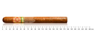 阿图罗·富恩特特级珍藏丘吉尔