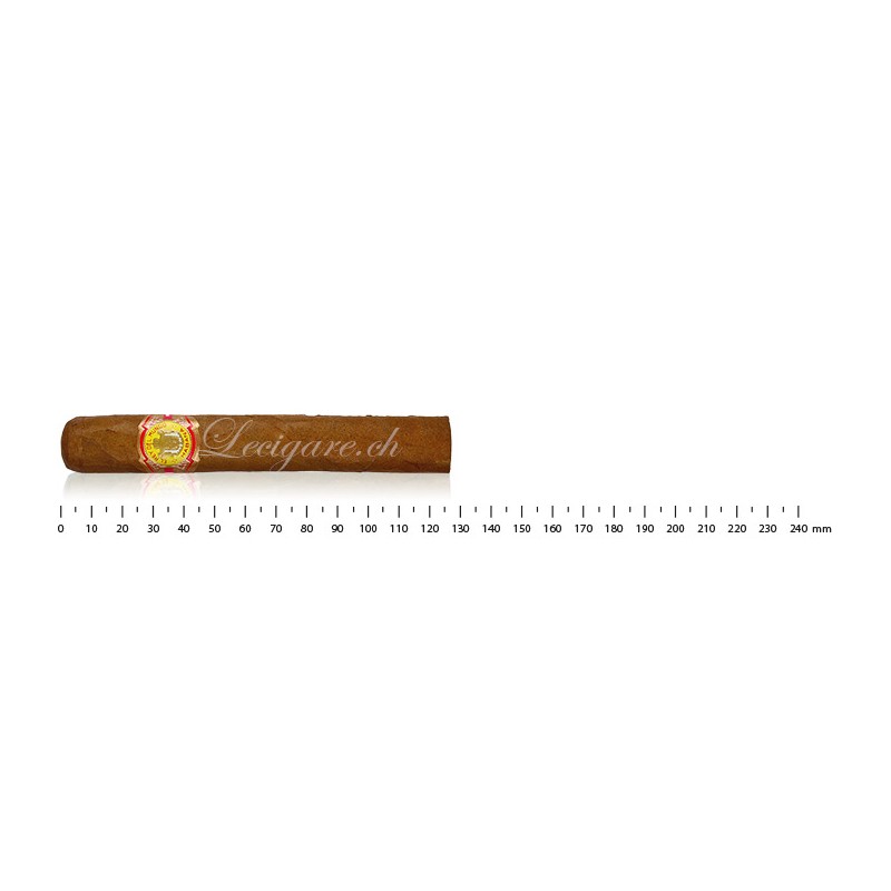 El Rey del Mundo 至尊选择