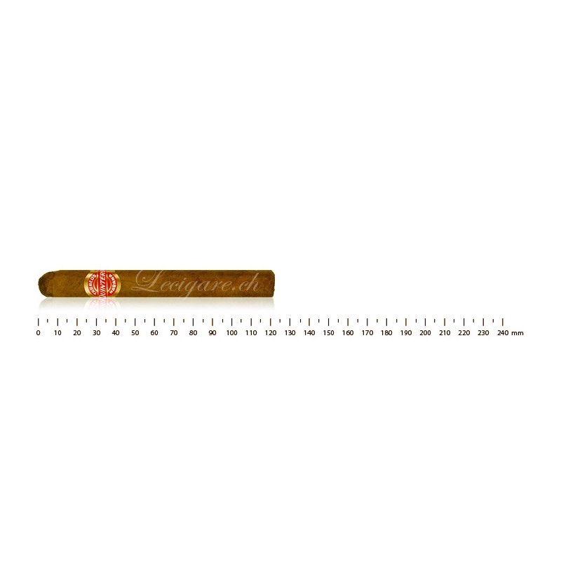 金特罗伦敦额外