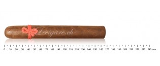 菲莉亚·蒂西丰