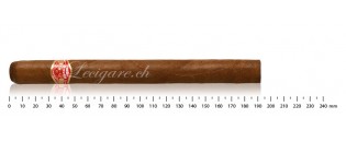 帕塔加斯卢西塔尼亚 (10)