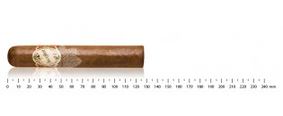 砖屋 Robusto Natural