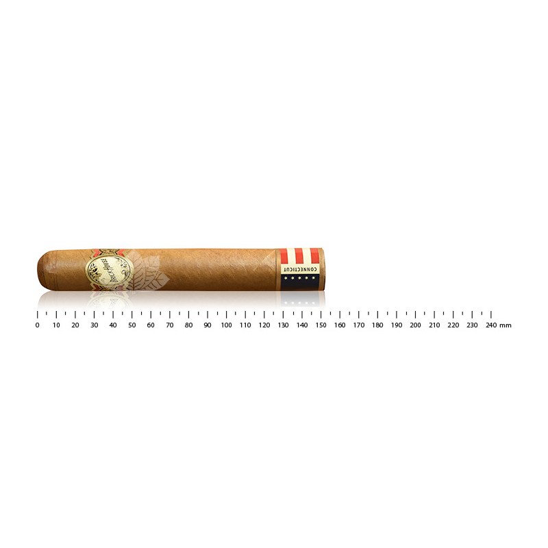 砖屋 强大的康涅狄格州