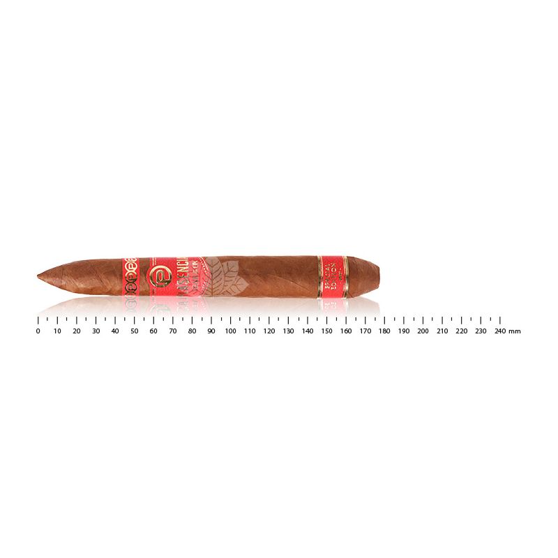 普拉圣西亚牛年