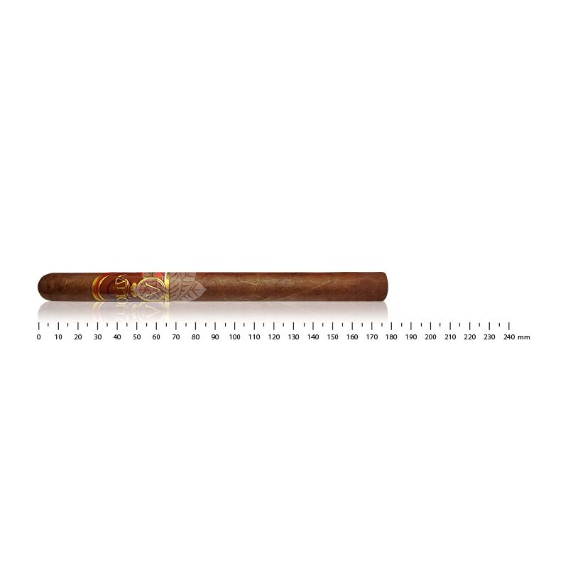 Oliva Series V Lancero