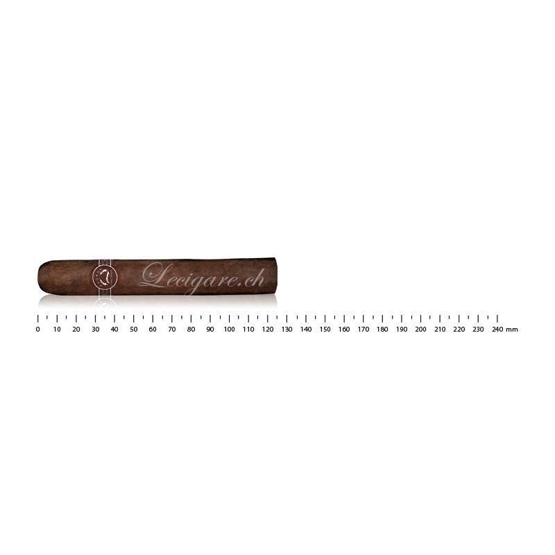 Padron 经典 2000 马杜罗