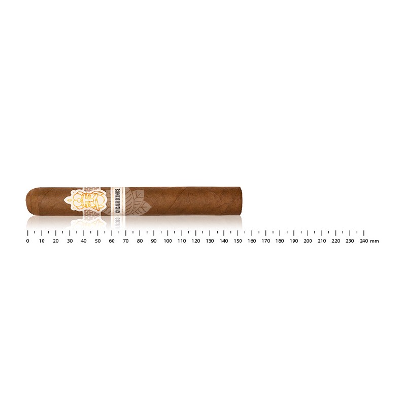 CigarKings Sungrown 托罗