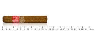 帕塔加斯D系列4号