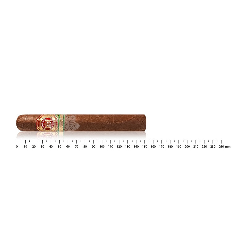 阿图罗·富恩特特级珍藏弗洛·菲娜 8-5-8