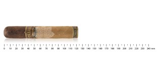 塔巴克特别托罗哈