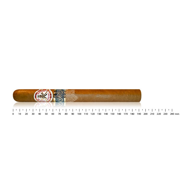 Hoyo de Monterrey 特级珍藏双冠科塞查 2013 年