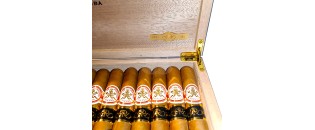 Hoyo de Monterrey 特级珍藏双冠科塞查 2013 年