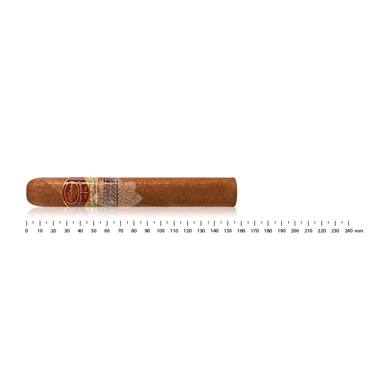 帕德隆家族储备 45 号