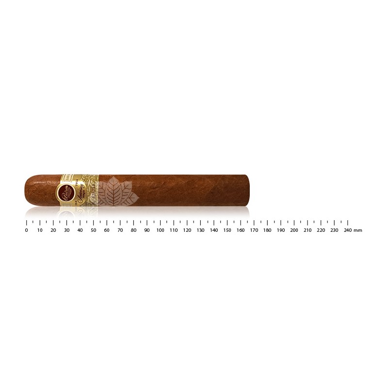 Padron 1964 周年纪念版 No.4