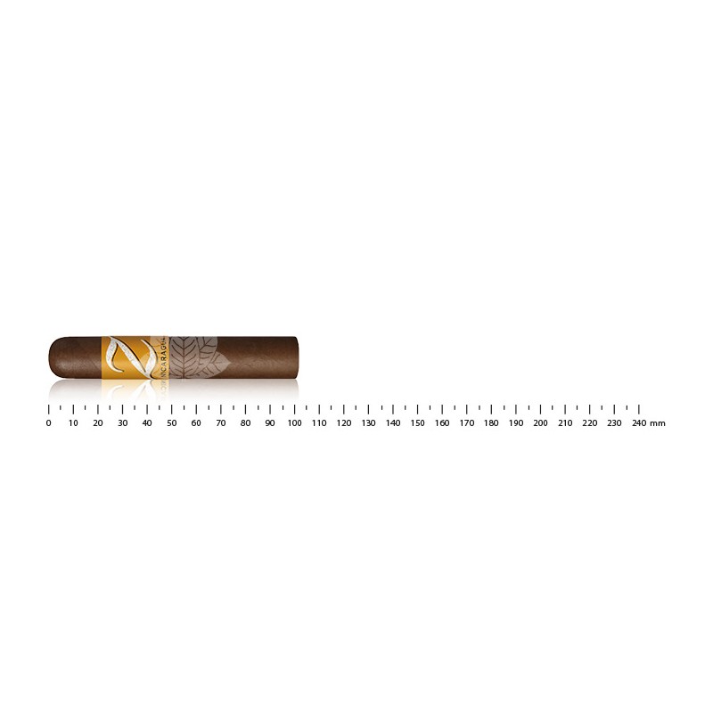 Zino 尼加拉瓜半科罗娜预切