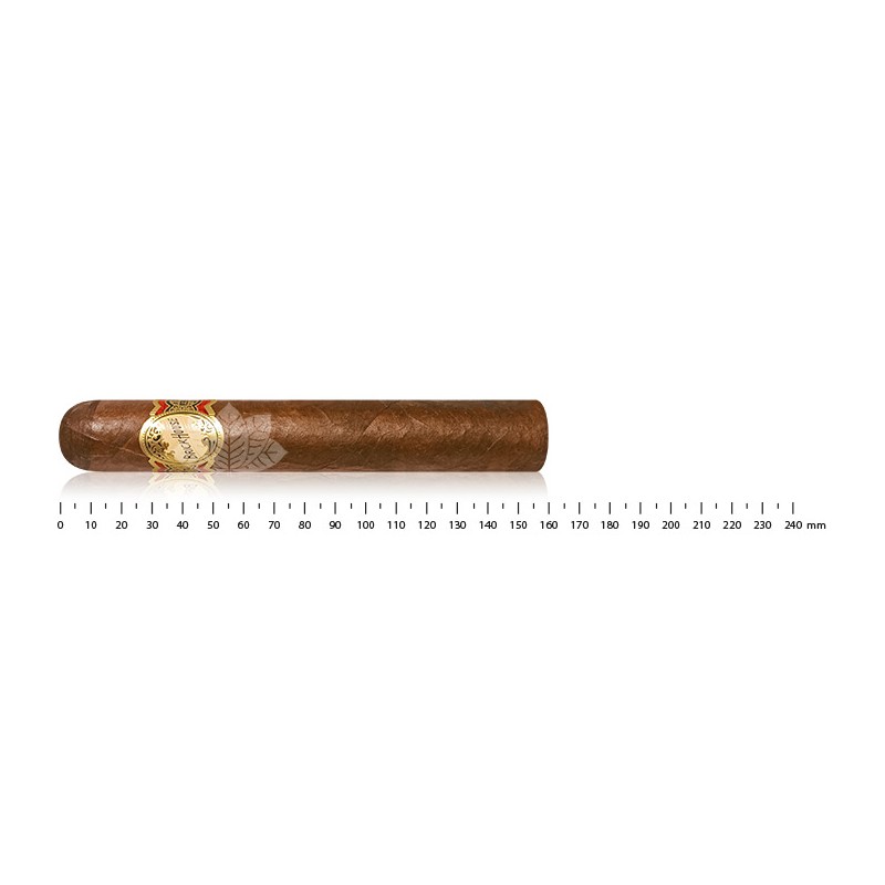 砖屋 强大的 强大的自然