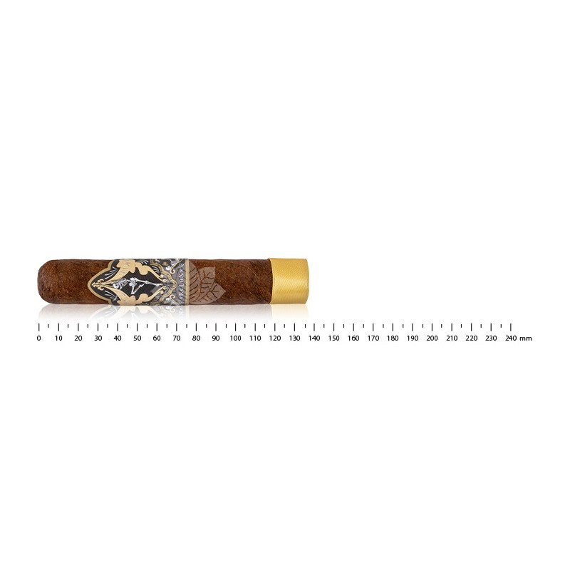 Skel Ton - Xrelaxx Robusto 罐