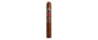 Lecigare 壁虎托罗 52