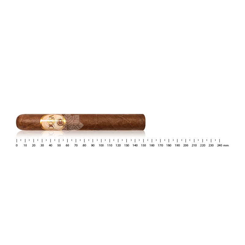 Oliva Serie G 陈年喀麦隆托罗