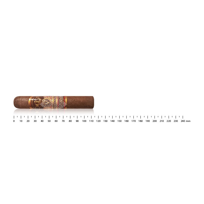 Oliva 系列 V Melanio Petit Corona