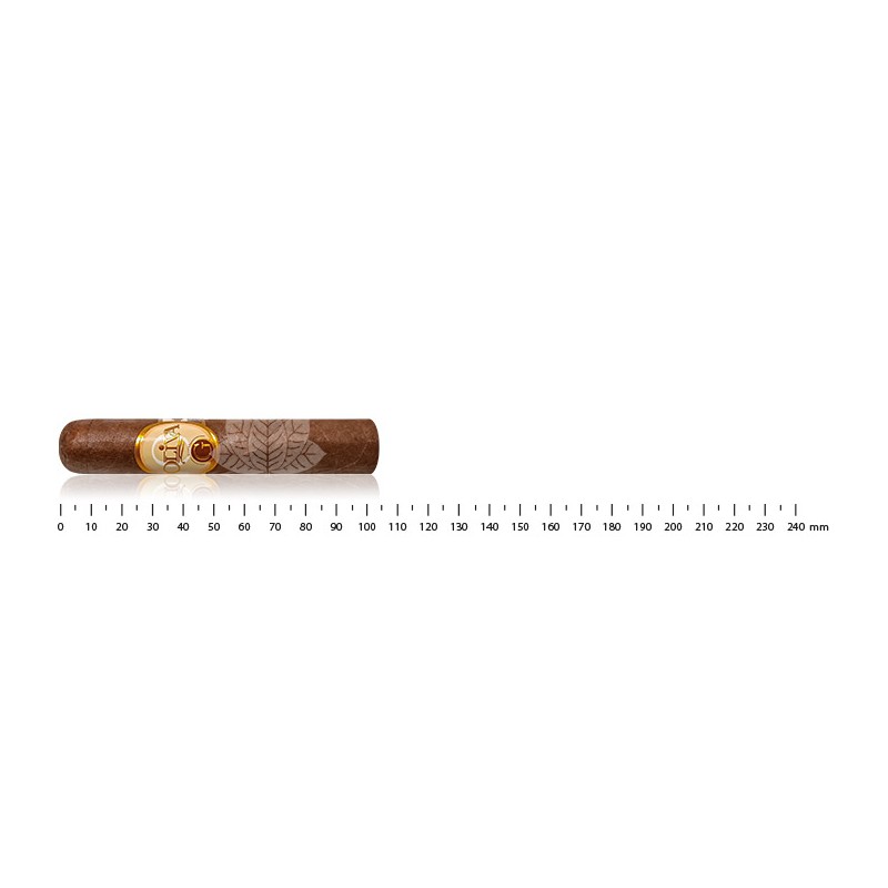 奥利瓦 G 系列 Robusto