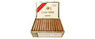 阿图罗·富恩特·布雷瓦斯·皇家