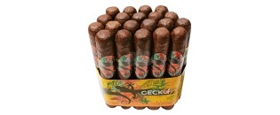 Gecko Sungrown 双 Robusto 52 捆绑包