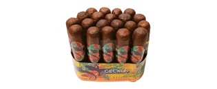 Gecko Sungrown 短 Robusto 54 捆绑包