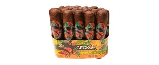 Gecko Sungrown 短 Robusto 54 捆绑包