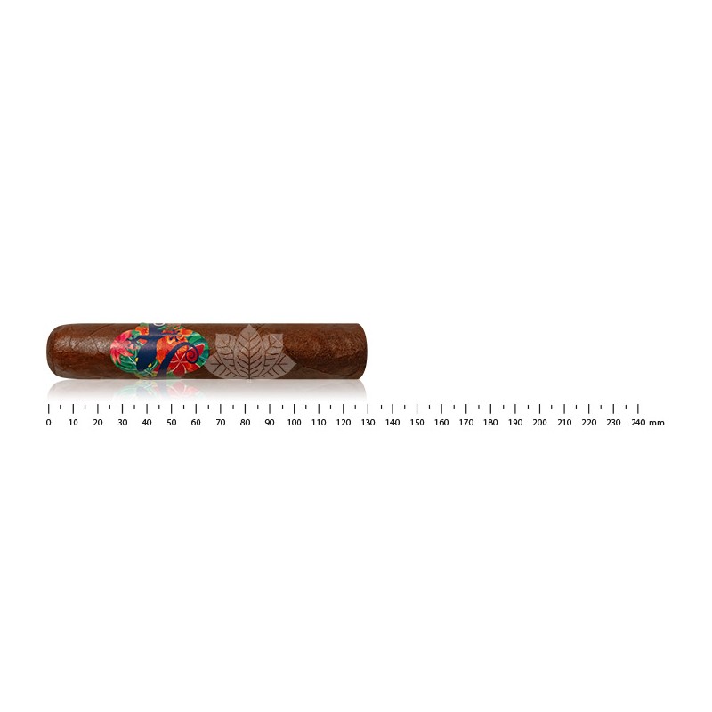 壁虎 Sungrown Magnum 58