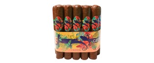 Gecko Sungrown Gordo 60 捆绑包