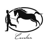 Cavalier Genève 雪茄单支或一盒 10 或 20 支雪茄