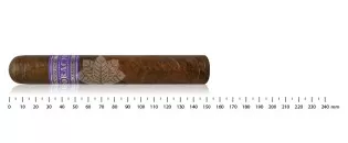 奥拉西奥·布利尔特级珍藏 H 56
