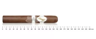 大卫杜夫 Oro Blanco 特别珍藏 111 年