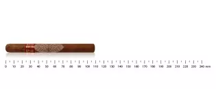 帕特加斯普瑞托系列