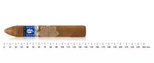 Gilbert de Montsalvat Belicoso