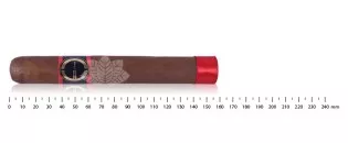 Escobar Habanos Gordo