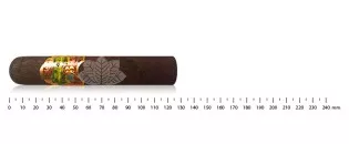 奥利瓦大师混合 2006 罗布斯托